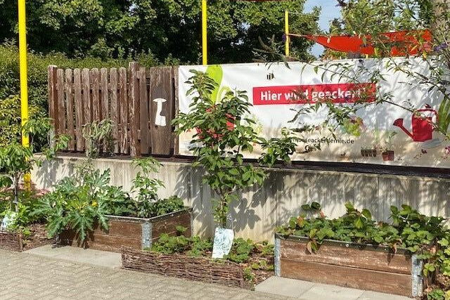 Bepflanzte Blumenkübel an einem Weg.