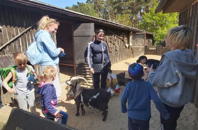 Erwachsene und Kinder in einem Streichelgehege