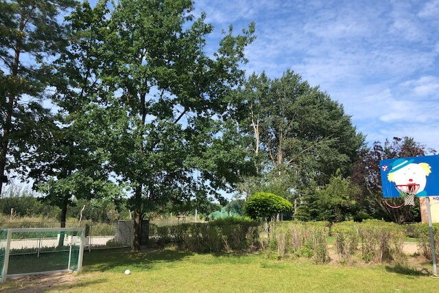 Sportplatz mit Tor und einem Basketballkorb. Blauer Himmel, Baume und Sträucher säumen den Platz.