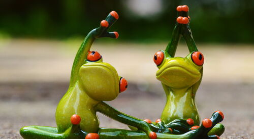 Nahaufnahme: Zwei grüne Froschfiguren machen gemeinsam Dehnübungen oder Yoga auf dem Boden.