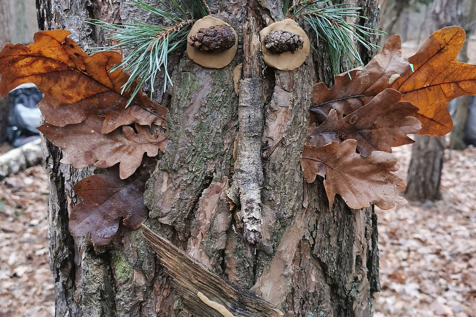 Ein Baum im Wald mit Gesicht aus Naturmaterialen.