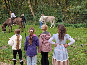 Eine kleine Koppel. Zwei Esel, braun und grau. Auf dem Braunen sitzt ein Kind. Kinder stehen am Zaun und sehen zu.