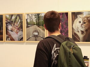 Fotoausstellung. Person mit Rucksack schaut sich gerahmte Fotografien an.