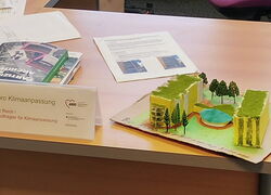 Beauftragter für Klimaanpassung