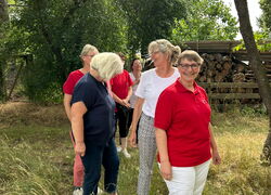 Teampower voraus Unser nächstes Teamcoaching