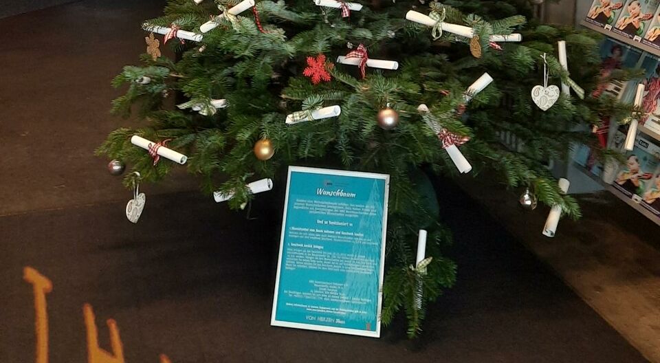 Ein Wunsch-Weihnachtsbaum? Ach was, wir haben gleich fünf davon