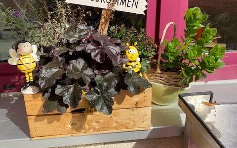 Blumen auf einem Fensterbrett mit dem Schild: Herzlich Wilkommen
