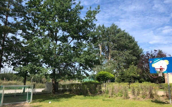 Sportplatz mit Tor und einem Basketballkorb. Blauer Himmel, Baume und Sträucher säumen den Platz.
