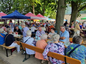Großes Fest für Senioren. Tische und Bänke unter schattigen Bäumen. Viele Menschen.