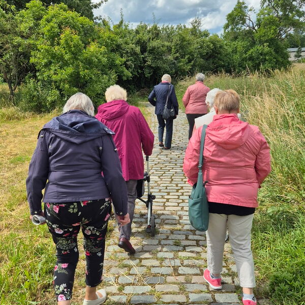 6 Ältere Menschen gehen einen gepflasterten Weg. Eine Frau mit Rollator. Neben dem Weg ist Wiese und weiter oben Bäume.