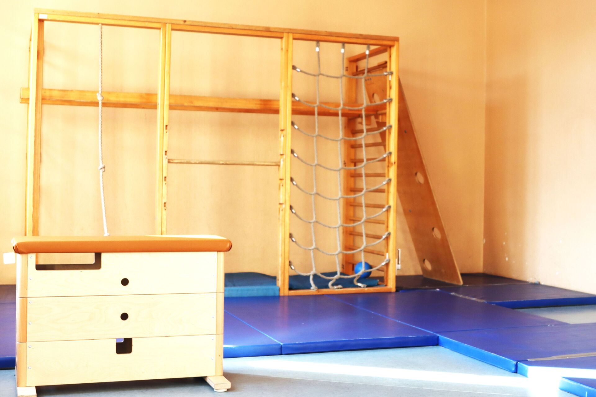 Sportraum. Klettergeräte, aus Holz nehmen einen großen Teil der Wand ein. Es gibt auch ein Kletternetz und eine Holzleiter. Der Boden ist mit blauen Matte bedeckt.