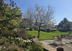 Endlich Frühling