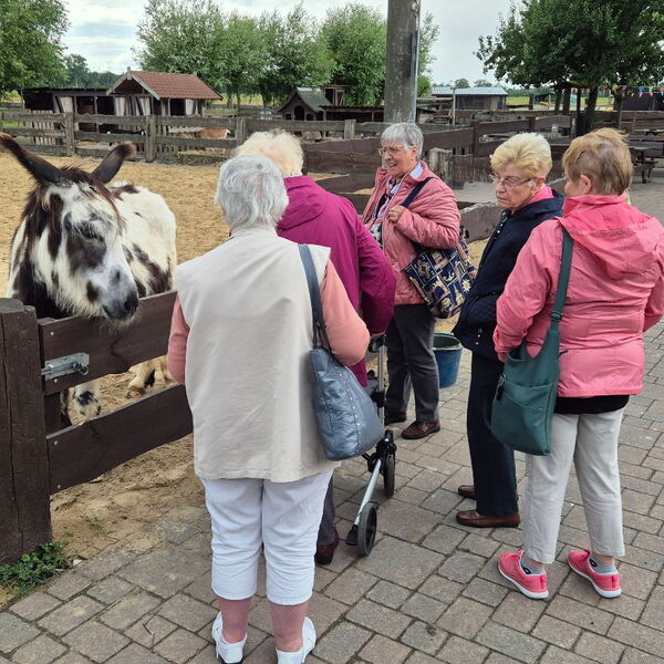 5 Frauen an einem Tiergehege. Ein gescheckter Esel guckt interessiert über den Holzzaun.