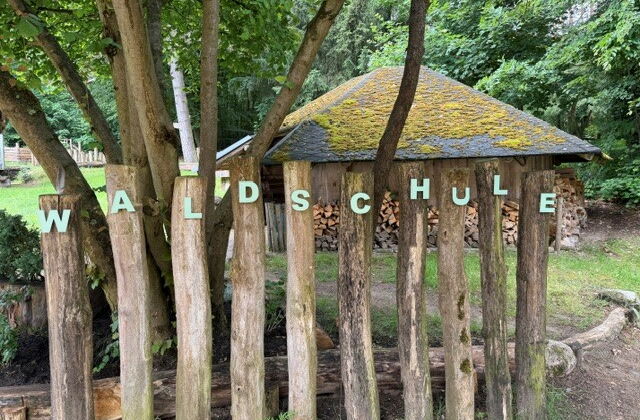 Stämme in einer Reihe mit Buchstaben: Waldschule