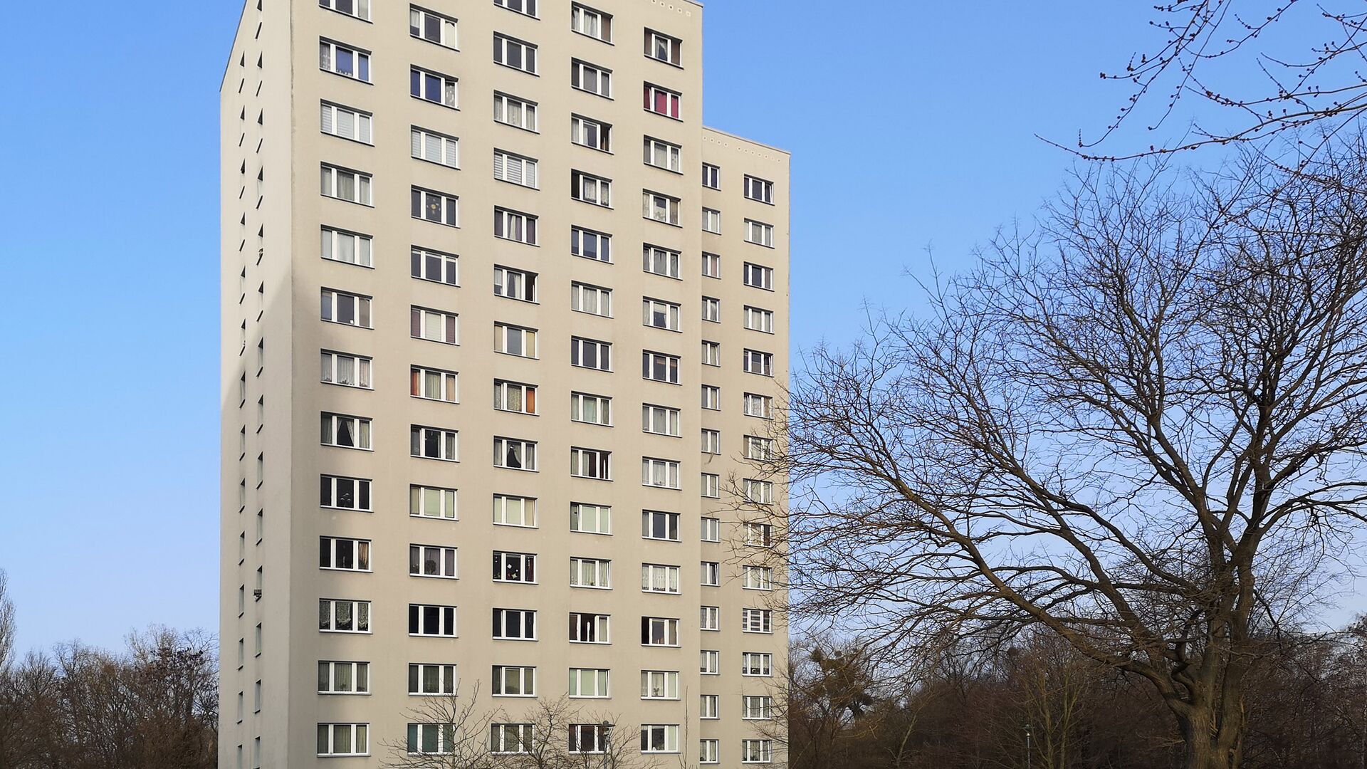 Hochhaus. Davor kahle Bäume und parkende Autos. Blauer Himmel wolkenlos.