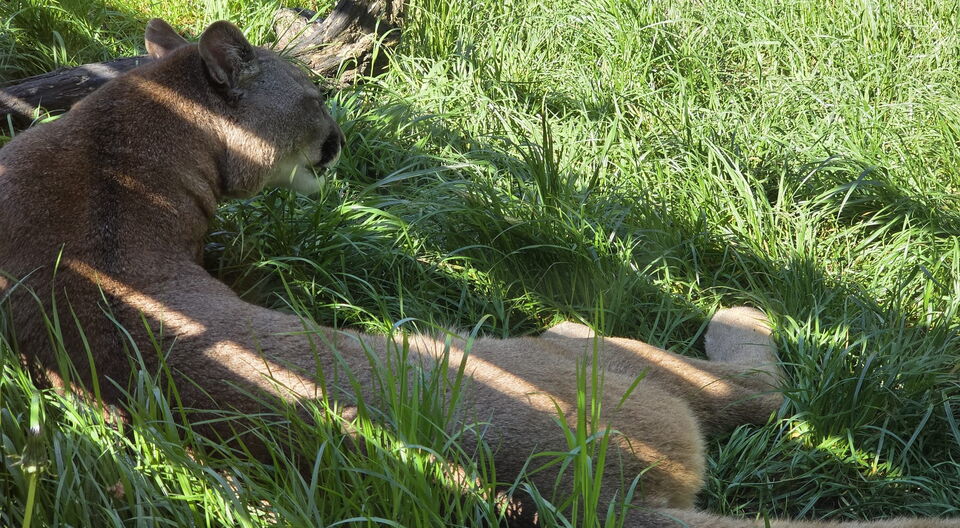 Germendorf Tierpark - unser Ausflug am 05.05.2025