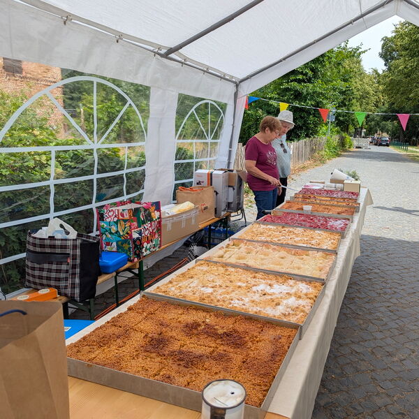 Kuchenbüfett. 8 große Blechkuchen auf einen langen Tisch. Zwei Personen stehen dahinter.