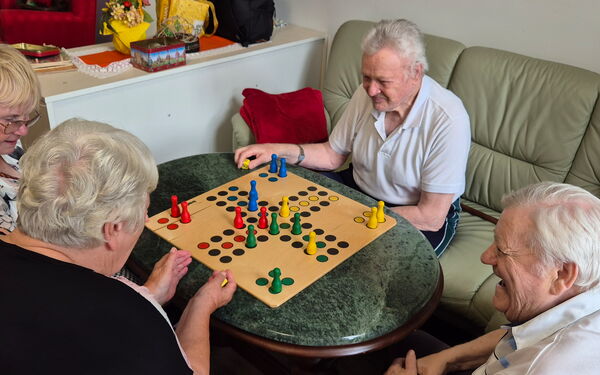 lustige Spielerunde Mensch- ärgere- dich- nicht