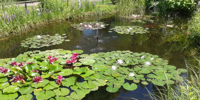 AWO Seniorenzentrum "Havelpark"