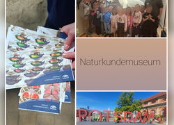 Besuch im Naturkundemuseum Potsdam