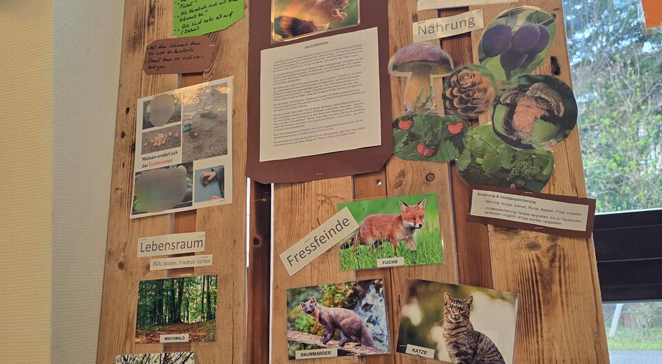 "Erlebter Frühling" 2026 Das Eichhörnchen