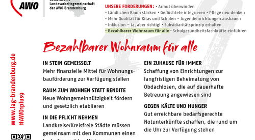 Plakat. Text: In Stein gemeißelt: Mehr finanzielle Mittel für Wohnungsbauförderung zur Verfügung stellen | Raum zum Wohnen statt Rendite: Neue Wohngemeinnützigkeit fördern und gesetzlich etablieren | uvm.