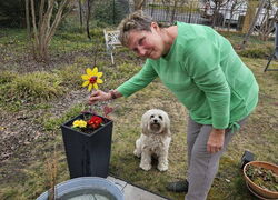 Ostervorbereitungen in der Tagespflege