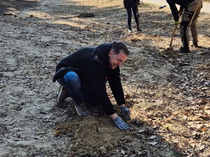 Mann pflanzt einen Setzling in den Waldboden. 2 weitere Personen mit Spaten graben. Die Sonne scheint.