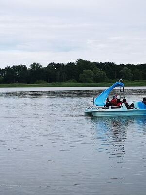 Zwei blaue Tretboote mit mehreren Personen fahren auf einem See, im Hintergrund Bäume am Ufer.