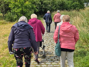 6 Ältere Menschen gehen einen gepflasterten Weg. Eine Frau mit Rollator. Neben dem Weg ist Wiese und weiter oben Bäume.