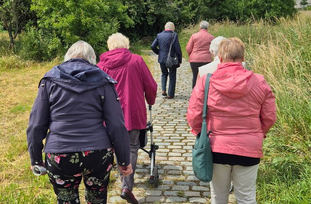 6 Ältere Menschen gehen einen gepflasterten Weg. Eine Frau mit Rollator. Neben dem Weg ist Wiese und weiter oben Bäume.