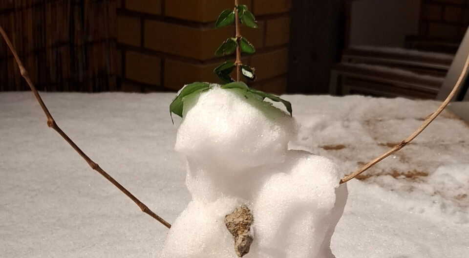 Willfriid I. vom Schwalbenberg