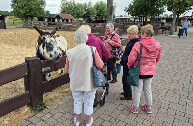 5 Frauen an einem Tiergehege. Ein gescheckter Esel guckt interessiert über den Holzzaun.
