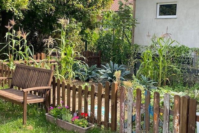 Ein Garten mit Holzzaun drumherum. Vor dem Garten am Zaun steht eine Holzbank und daneben ein bepflanzter Blumenkasten. Der Garten ist an einem Gebäude.