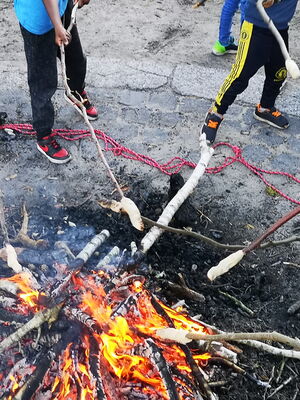 Mehrere Personen rösten Stockbrot über einem offenen Lagerfeuer.