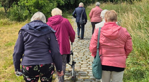 6 Ältere Menschen gehen einen gepflasterten Weg. Eine Frau mit Rollator. Neben dem Weg ist Wiese und weiter oben Bäume.