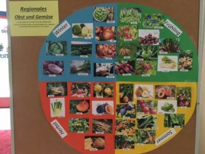 An einer Pinntafel ist ein rundes Schaubild von regionalem und saisonalen Gemüse. Der Kreis ist geviertelt. Frühling, Sommer, Herbst, Winter. In jedem Viertel sind bilder von Gemüse.