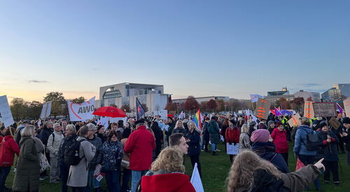 Rund 3000 Demonstrierende auf einer Wiese. AWO Fahnen, Regenbogen Fahne und viele Plakate werden erhoben.