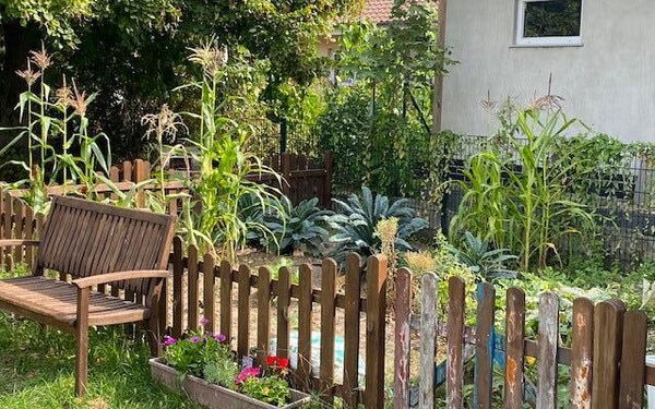 Ein Garten mit Holzzaun drumherum. Vor dem Garten am Zaun steht eine Holzbank und daneben ein bepflanzter Blumenkasten. Der Garten ist an einem Gebäude.