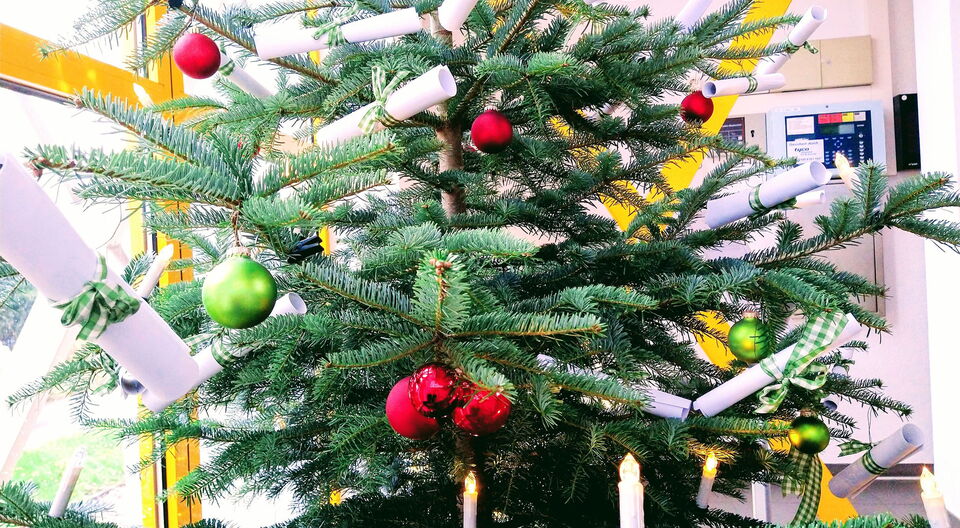 Unser Wunsch-Weihnachtsbaum hat seine Arbeit aufgenommen