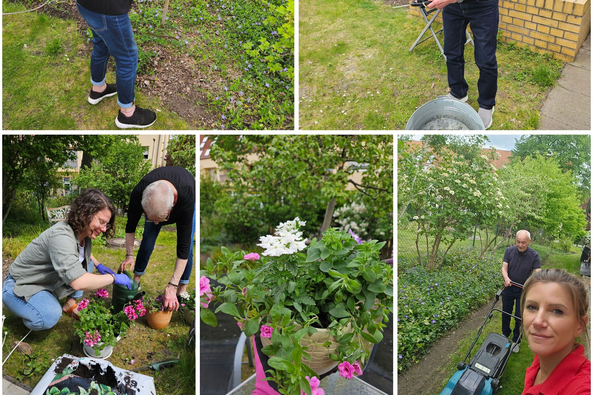 Collage: 5 Fotos bei Gartenarbeiten, Harken, Pflanzen, Rasenmähen.