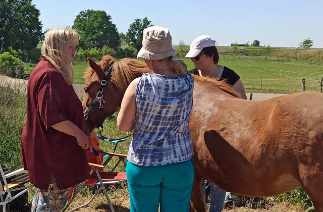 Ein Pferd steht zwischen zwei Menschen. Am Kopf des Pferdes steht eine Frau mit blonden langen Haaren. Das Pferd ist braun.