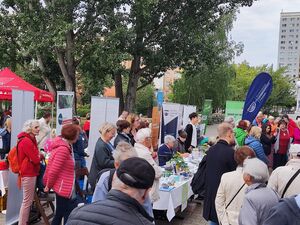 Viele Menschen an verschieden Ständen von Organisationen und Vereinen. Es stehen Tische draußen und ein Pavillon. Ältere Menschen stehen un den Tischen und informieren sich.