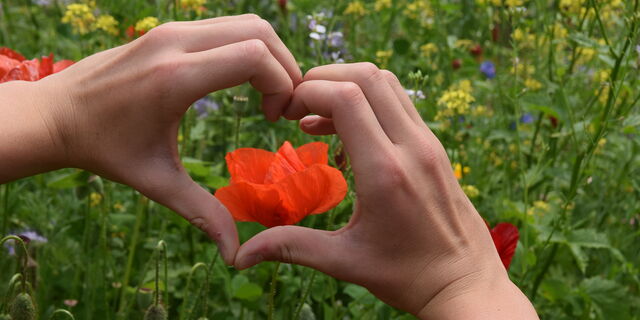 AWO Mehrgenerationenhaus "Alte Korbmacherei"