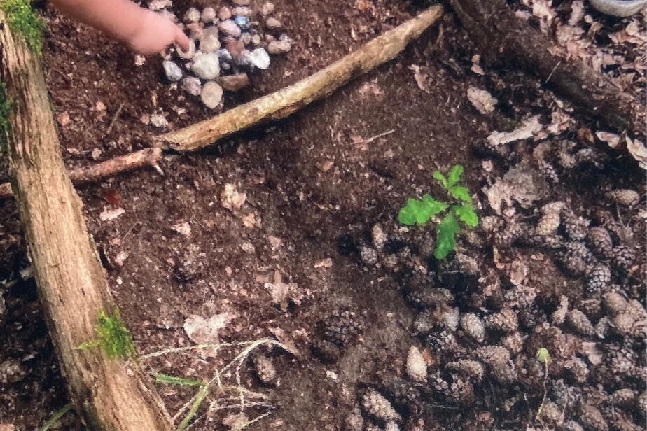 Waldboden. Kienäpfel, Steine,, Zweige, eine Kinderhand mit ausgestrecktem Arm zeigt auf einen Steinhaufen.