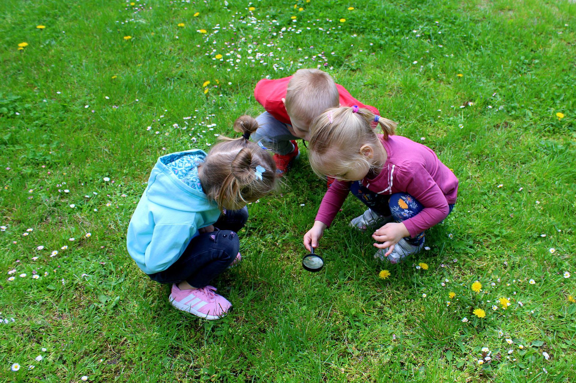 Drei kleine Kinder hocken auf der Wiese und betrachten forschend das Gras. Ein Kind schaut dabei durch eine Lupe.