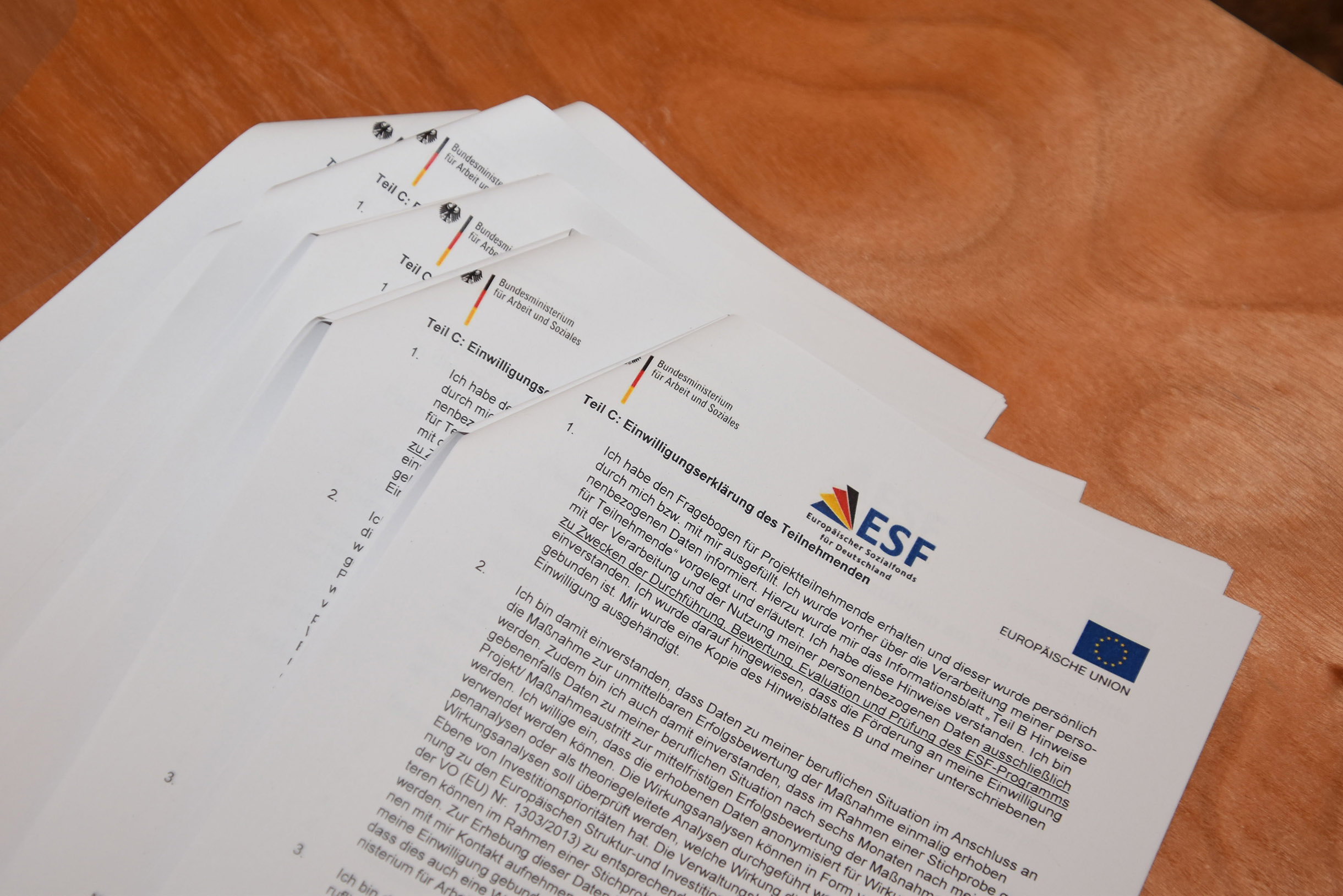 Mehrere Seiten A4 Papier bedruckt mit dem Logo des ESF