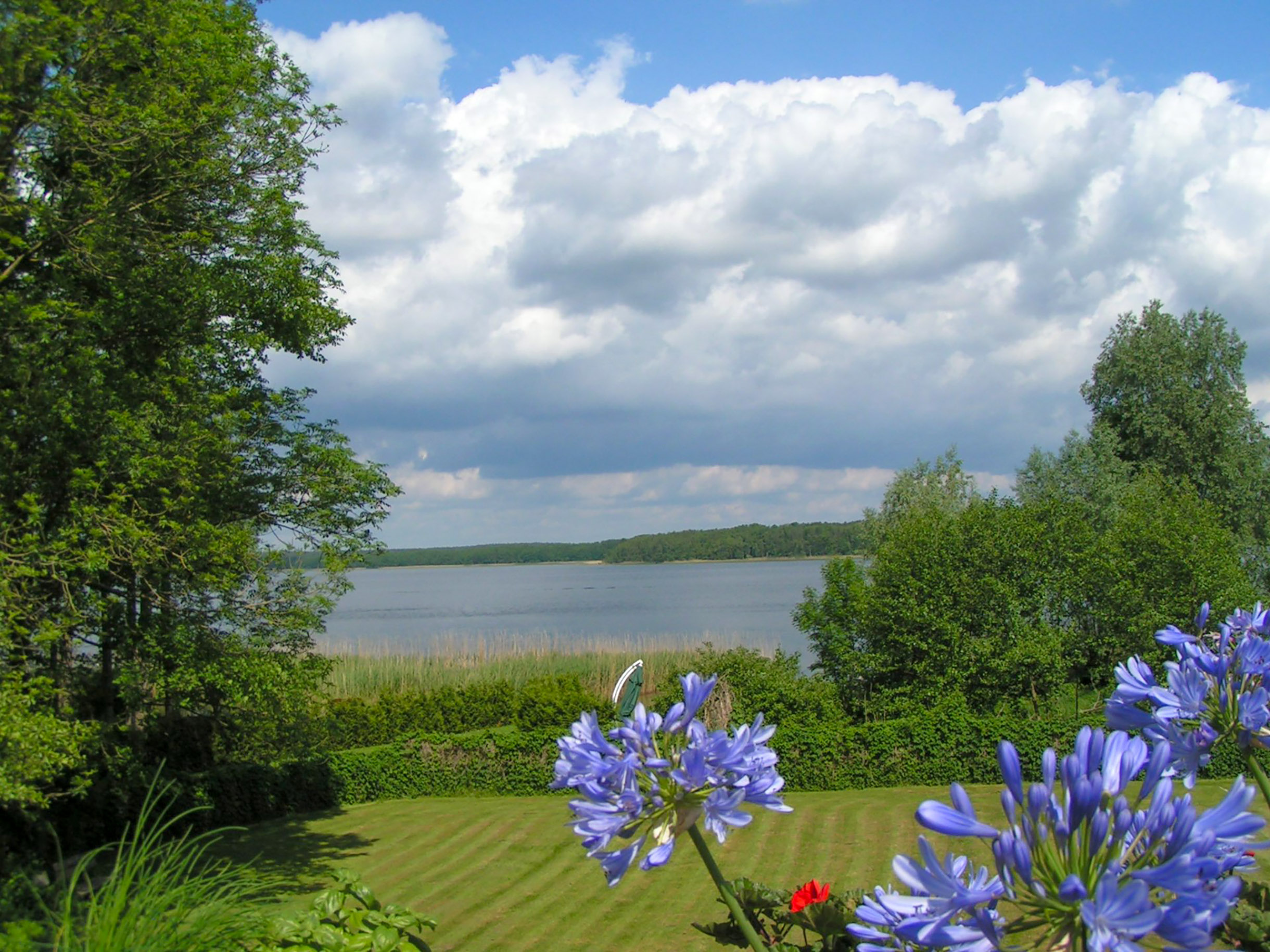 Blick auf einen See. Viel grün Wiese, Büsche, Streucher, auch am anderen Ufer gegenüber ist es grün. Im Vordergrund Blumenblüten,
