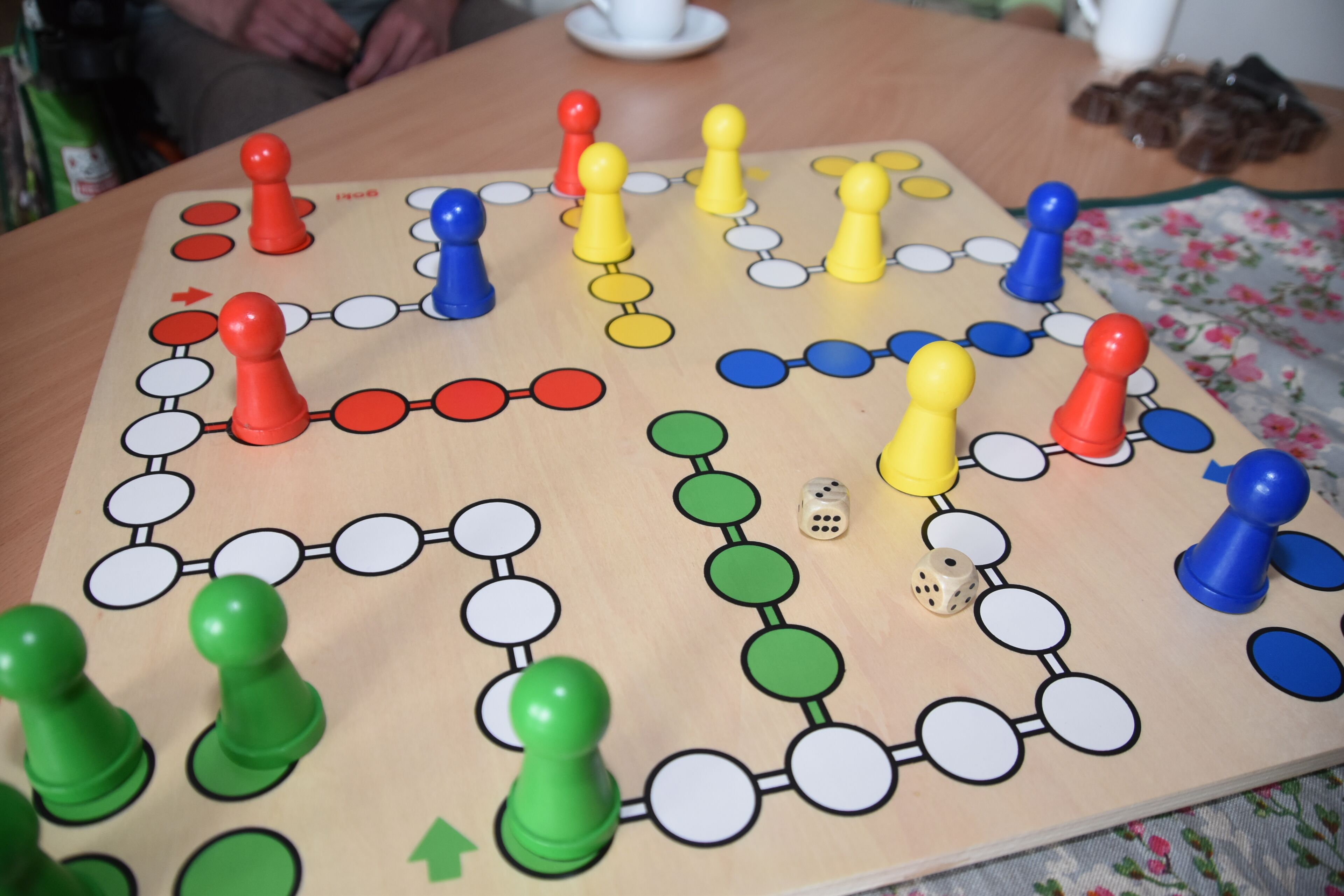 Ein Mensch ärgere Dich nicht Spiel