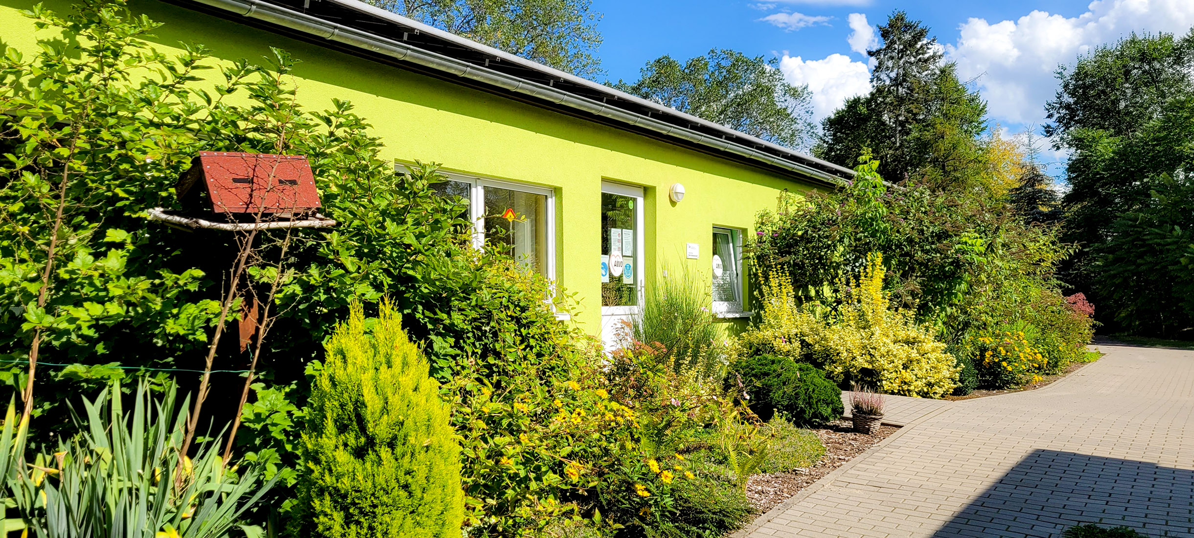 Ein grünes Gebäude hinter Pflanzen und Büschen.